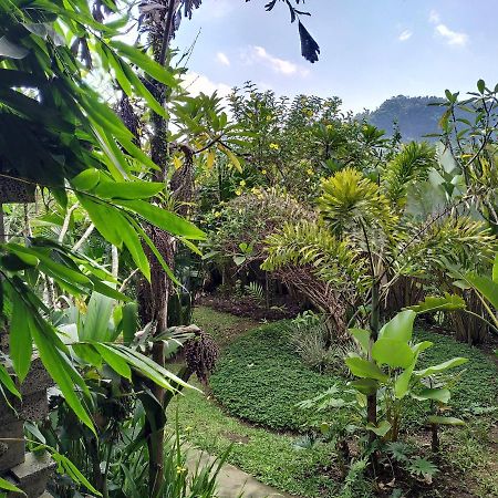 Kanda Homestay Sidemen  Ngoại thất bức ảnh