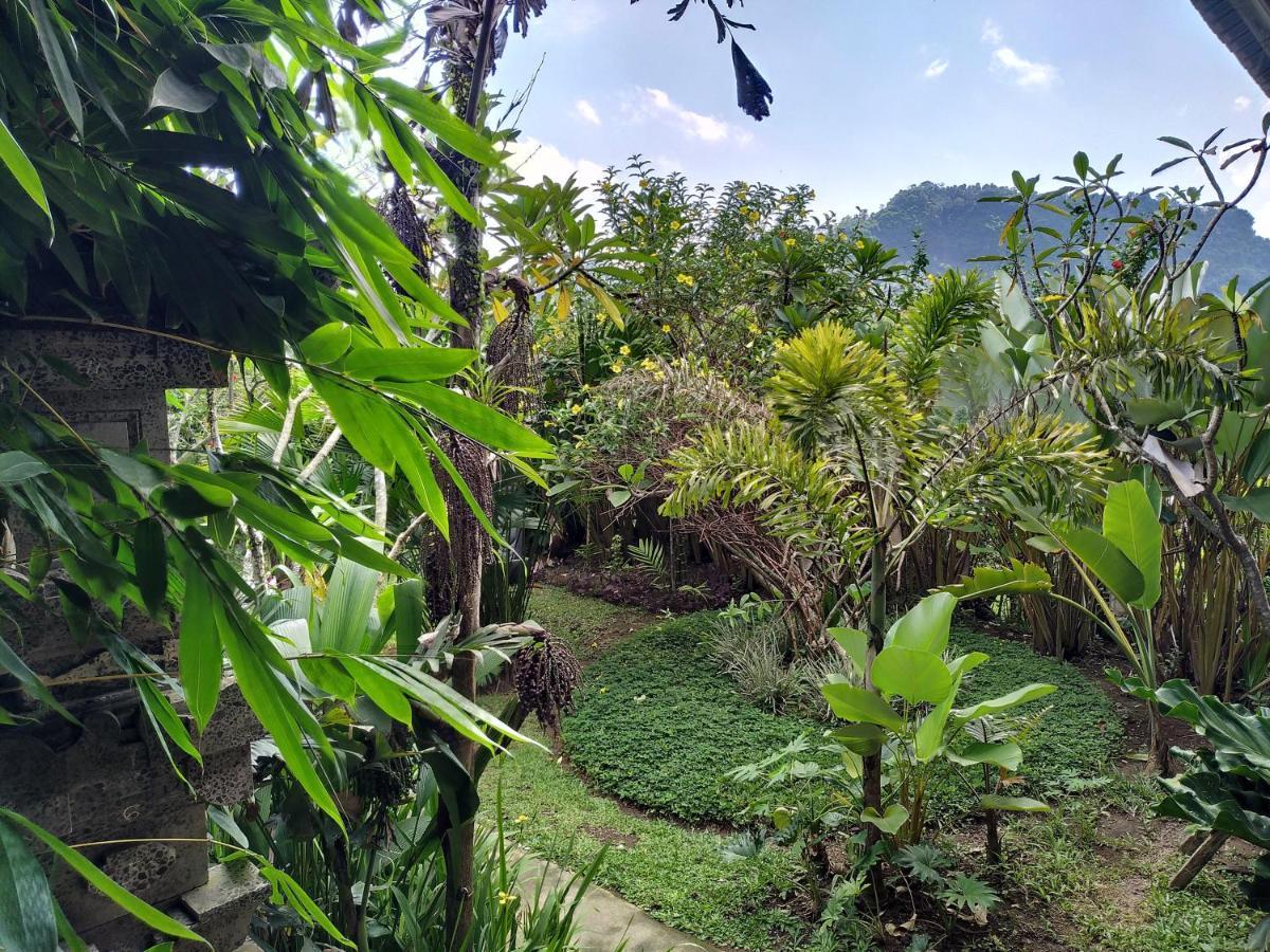 Kanda Homestay Sidemen  Ngoại thất bức ảnh